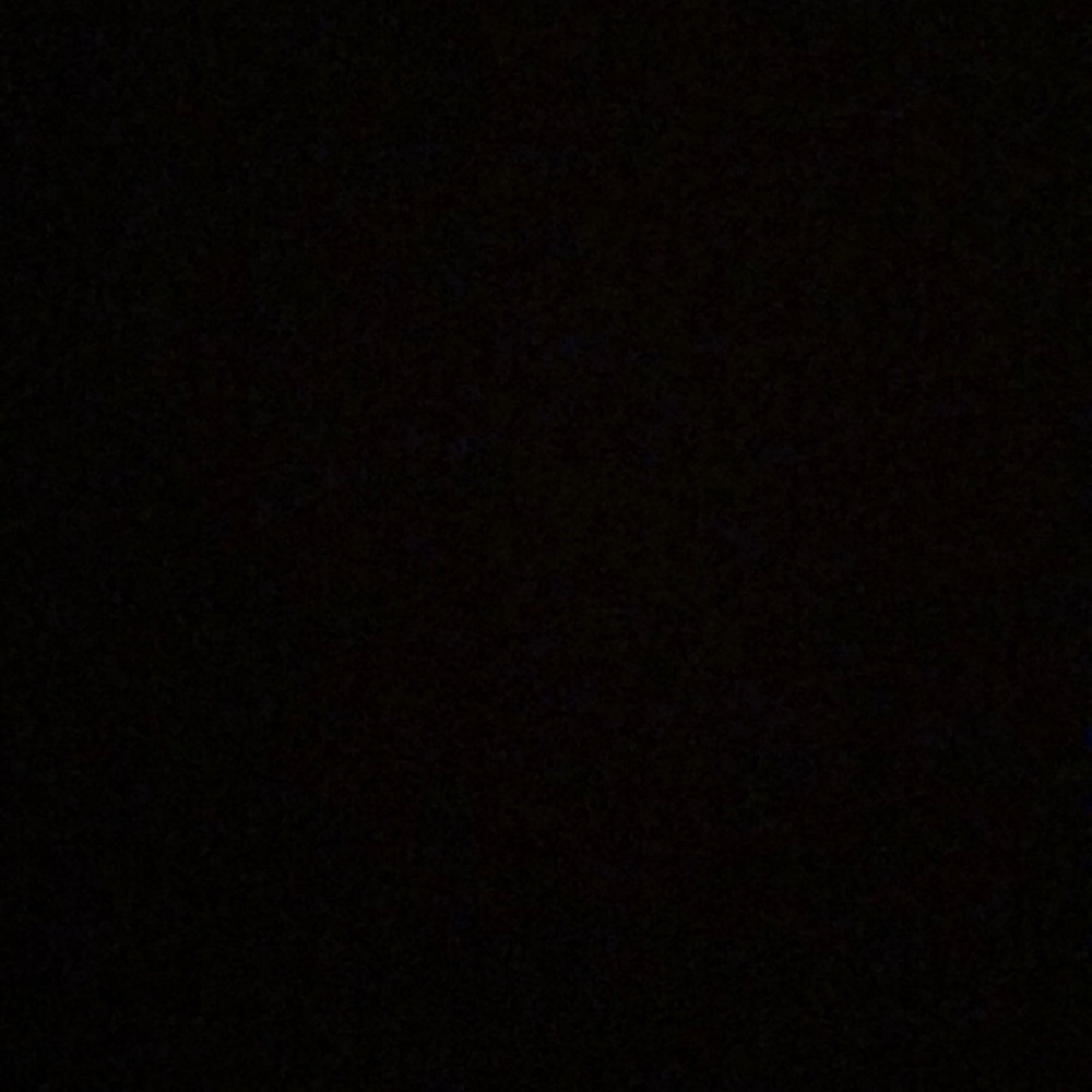 Meet your Posher, Abbey